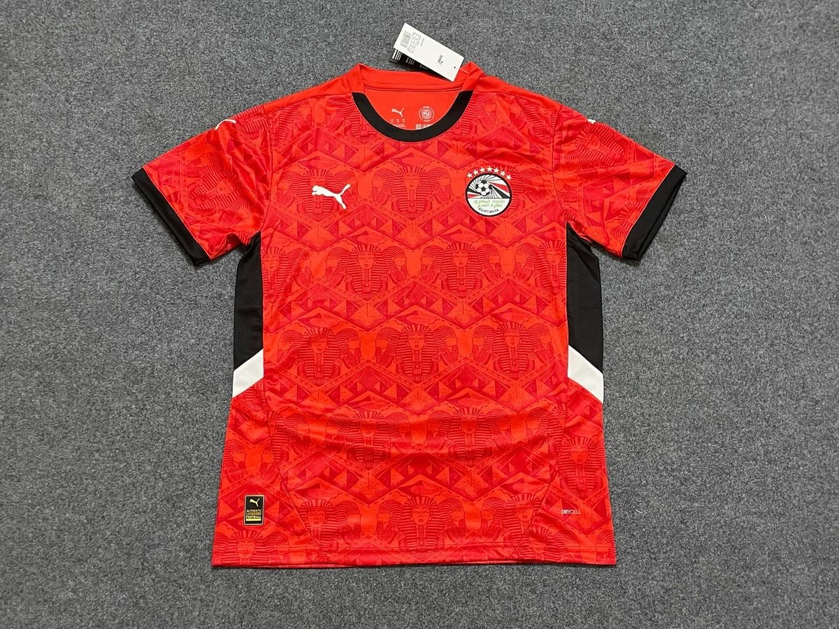 Maillot Égypte Officiel Puma – Extérieur/Third Édition Spéciale