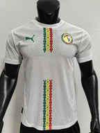 Maillot Domicile Sénégal 2025/2026 – Édition Officielle Puma